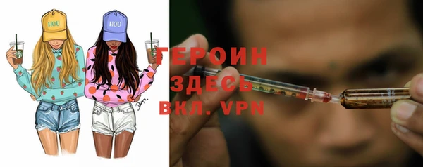 гашик Сосновка