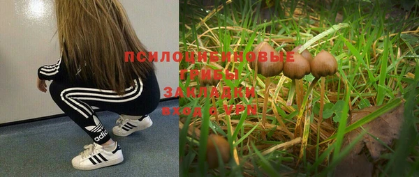 сатива Верхнеуральск