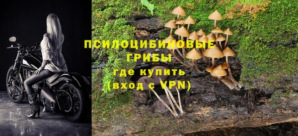 гашик Сосновка