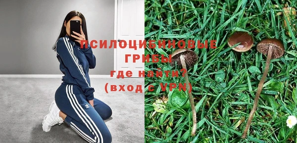 не бодяженный Верея