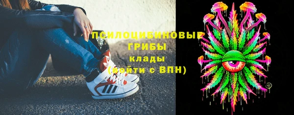 гашик Сосновка