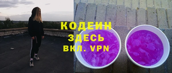 гашик Сосновка